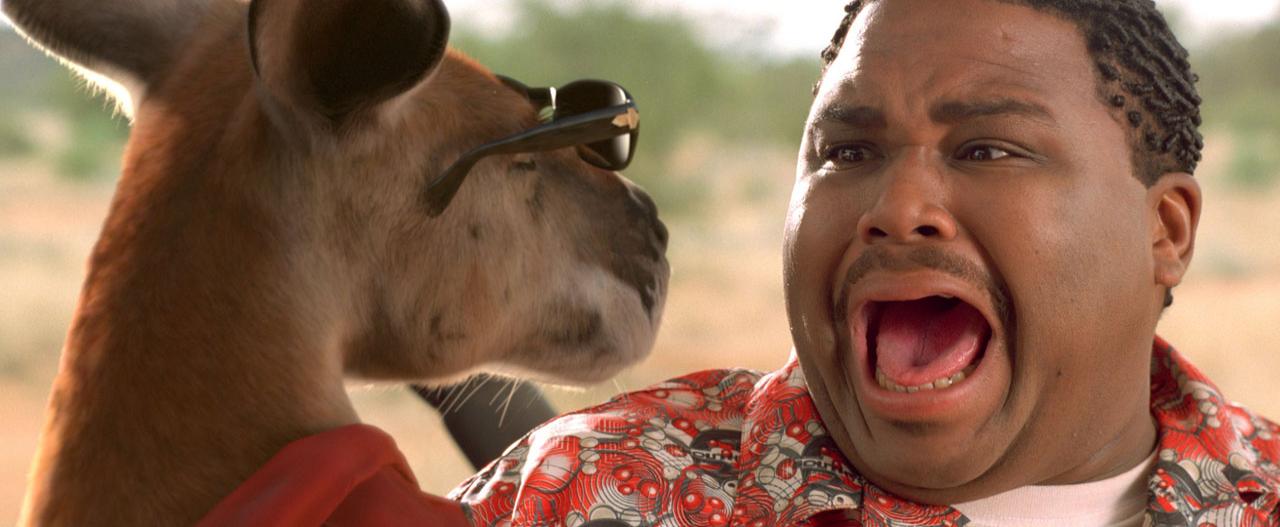 Kangaroo Jack Prendi I Soldi E Salta