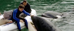 Free Willy 3   Il salvataggio_header