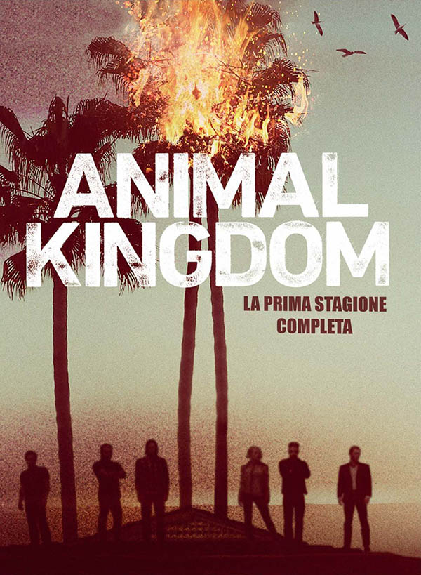 Animal Kingdom Poster