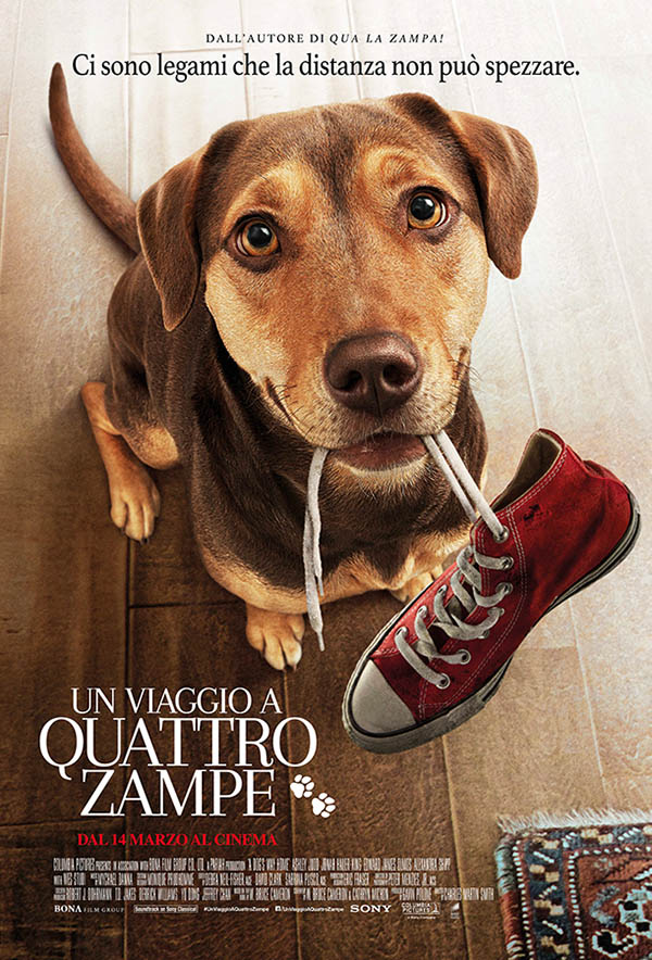 Un viaggio a quattro zampe Poster Italia