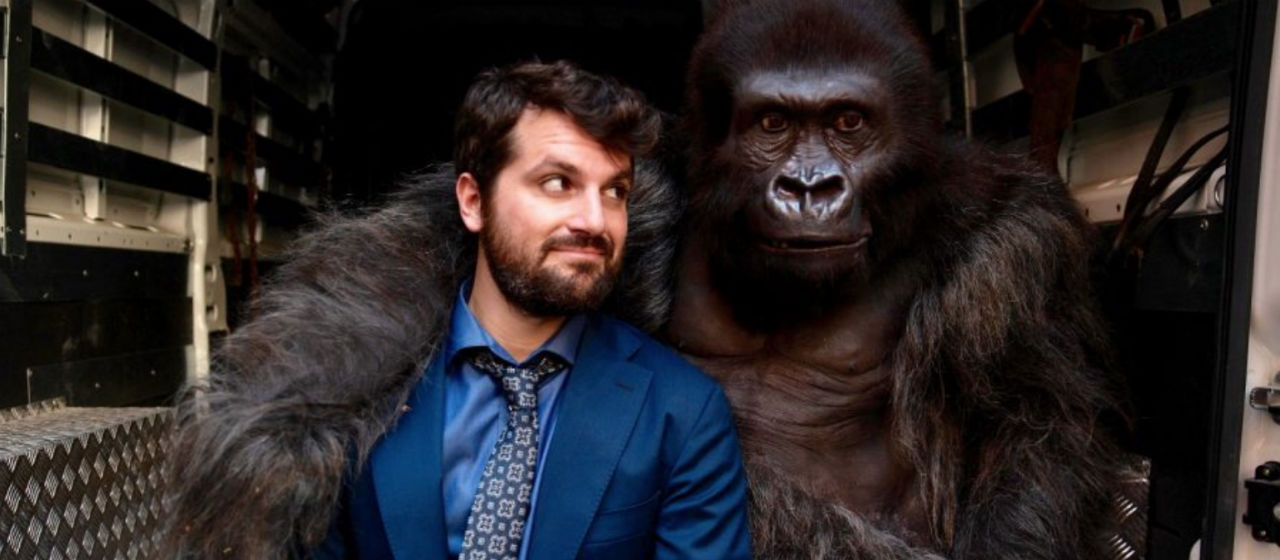 Attenti al gorilla - Foto ufficiale dal film