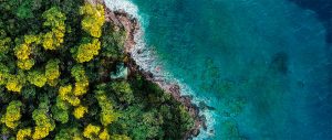 Fantasy Island _header