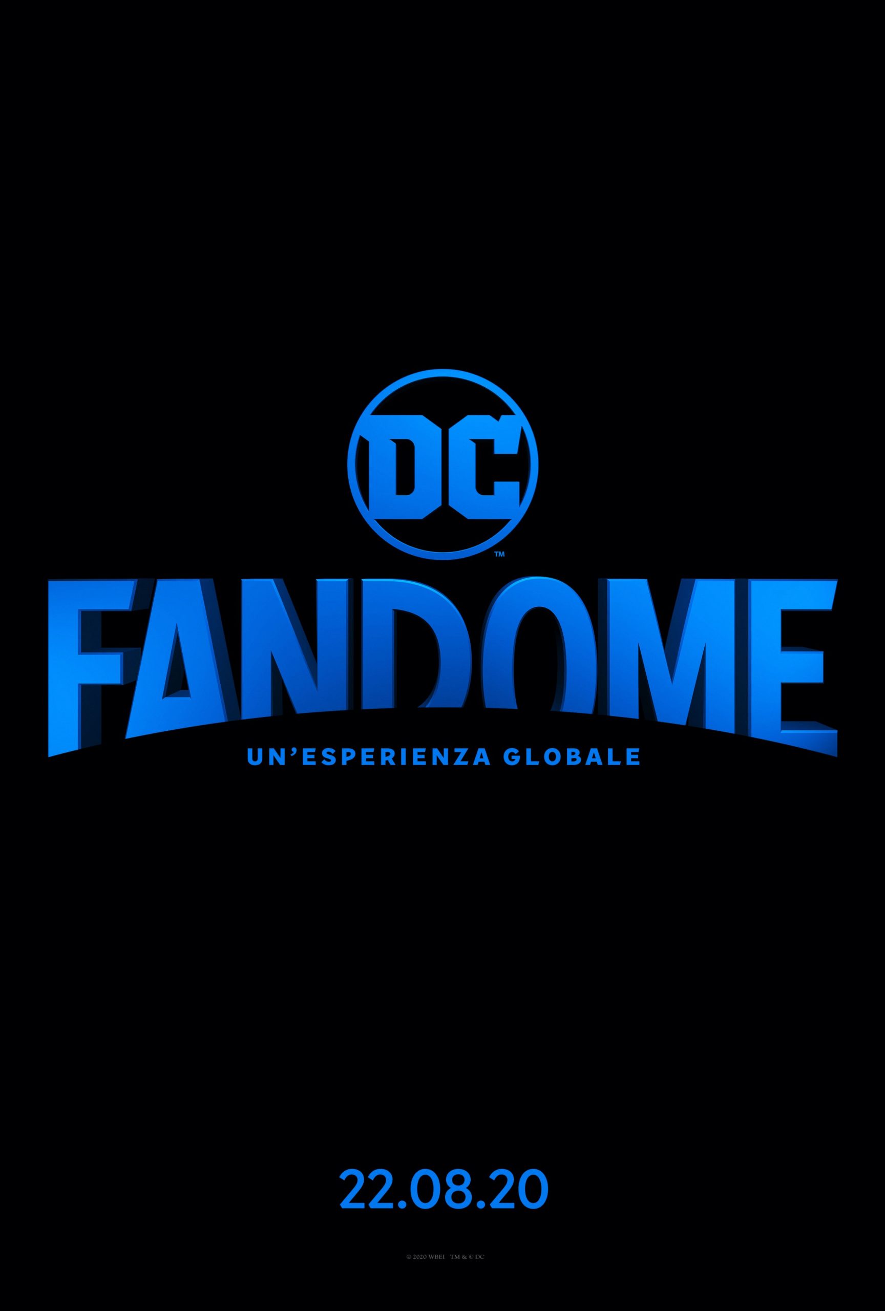 dc fandome poster